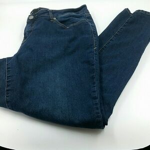 TORRID l Skinny Dark Wash Tall B2